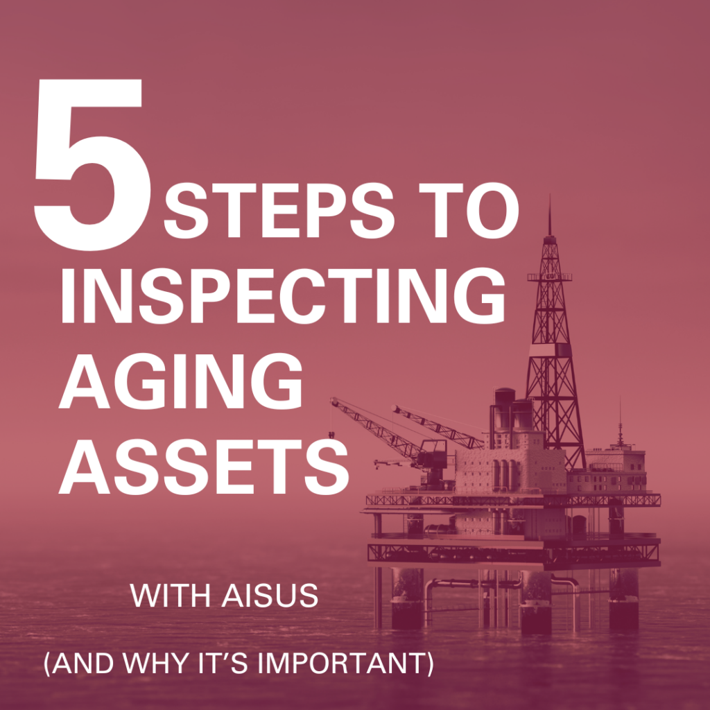 Inspecting Assets with AISUS
